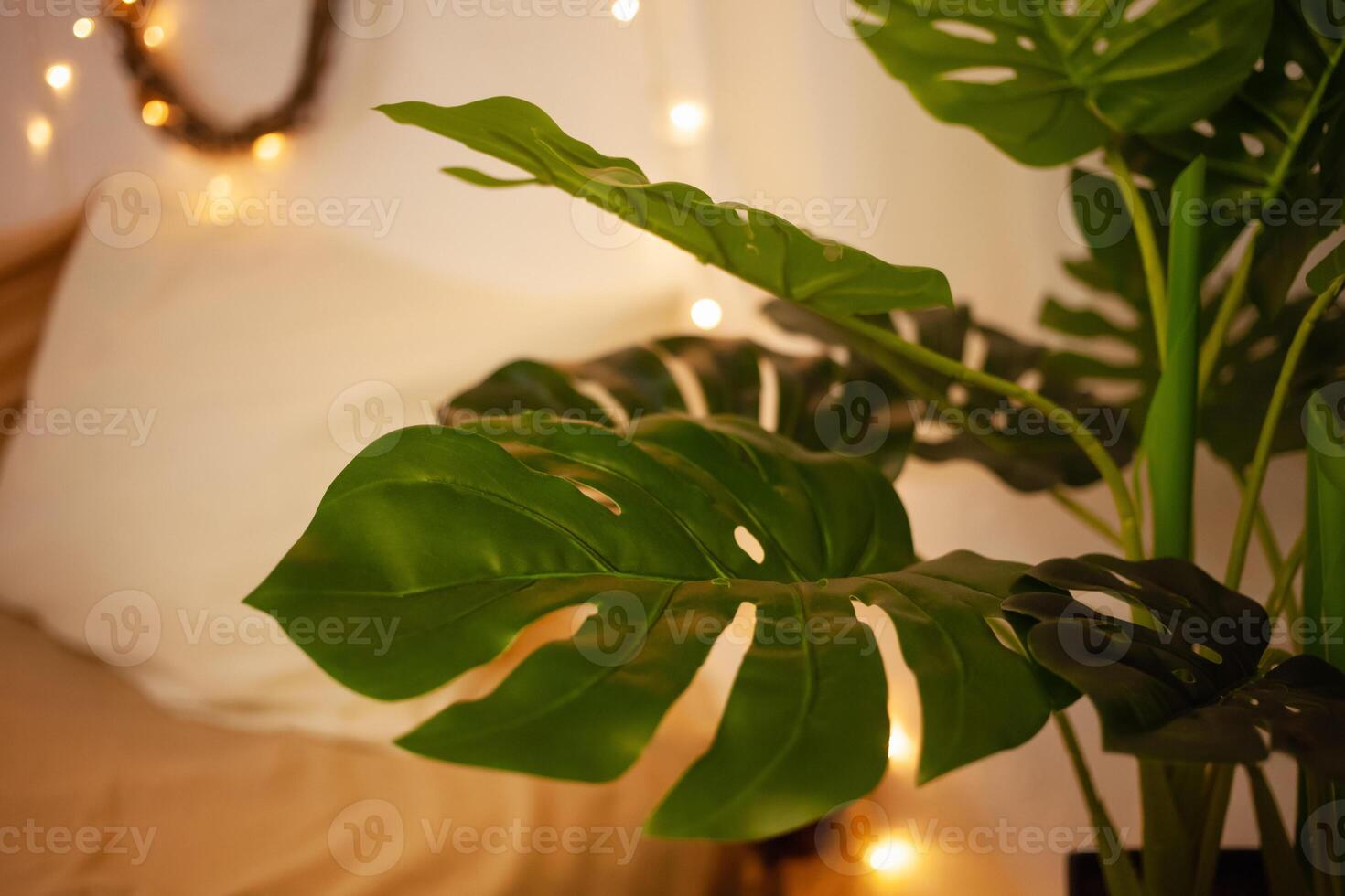 Monstera home plant. Christmas lights sideways, artificial flower In the interior photo