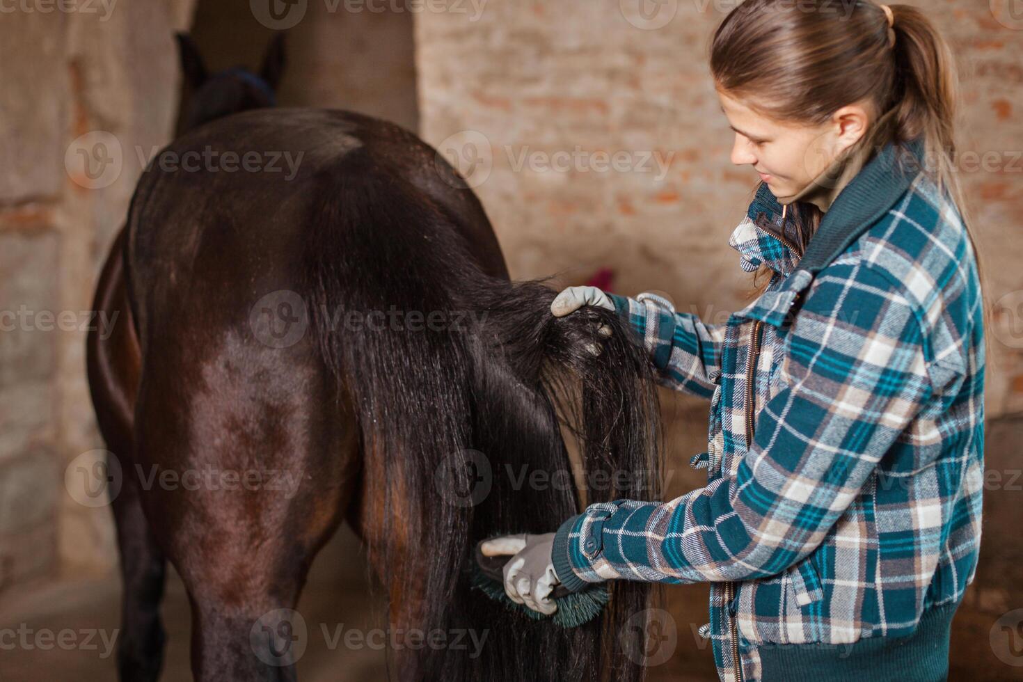 Love to the animals. A young girl in a blue checkered trowel is combing photo