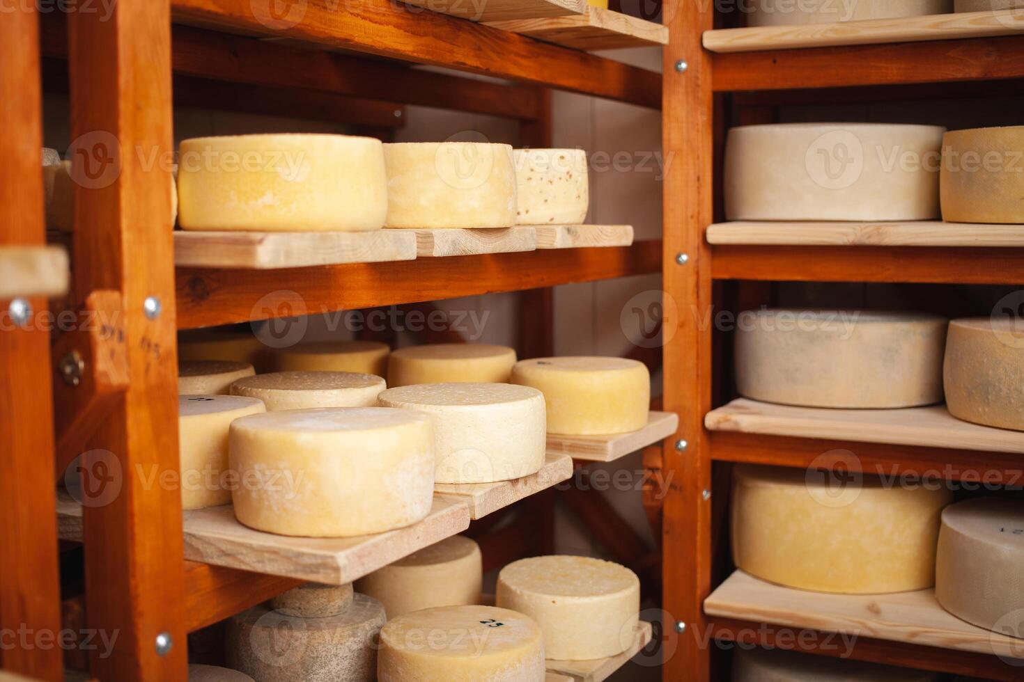 Wooden shelves in basement, cellar with round cheese. Home production from milk, private entrepreneur, business. Indoor. photo