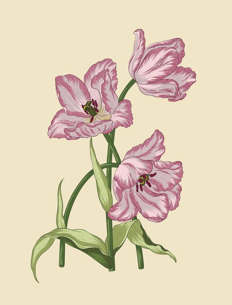 decorativo retro tulipán flor línea Arte estilo ilustración vector