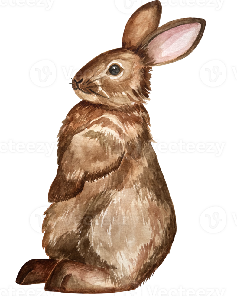 Watercolor illustration of a cute fluffy grey rabbit with pink ears in a blank background png