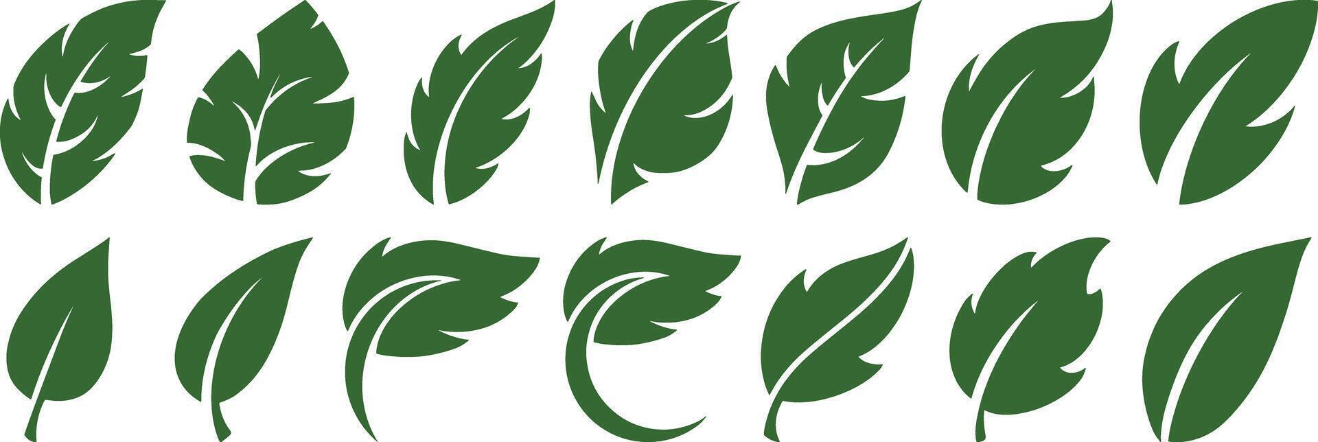 Stencil leaf icon Eco clipart Laurel vector