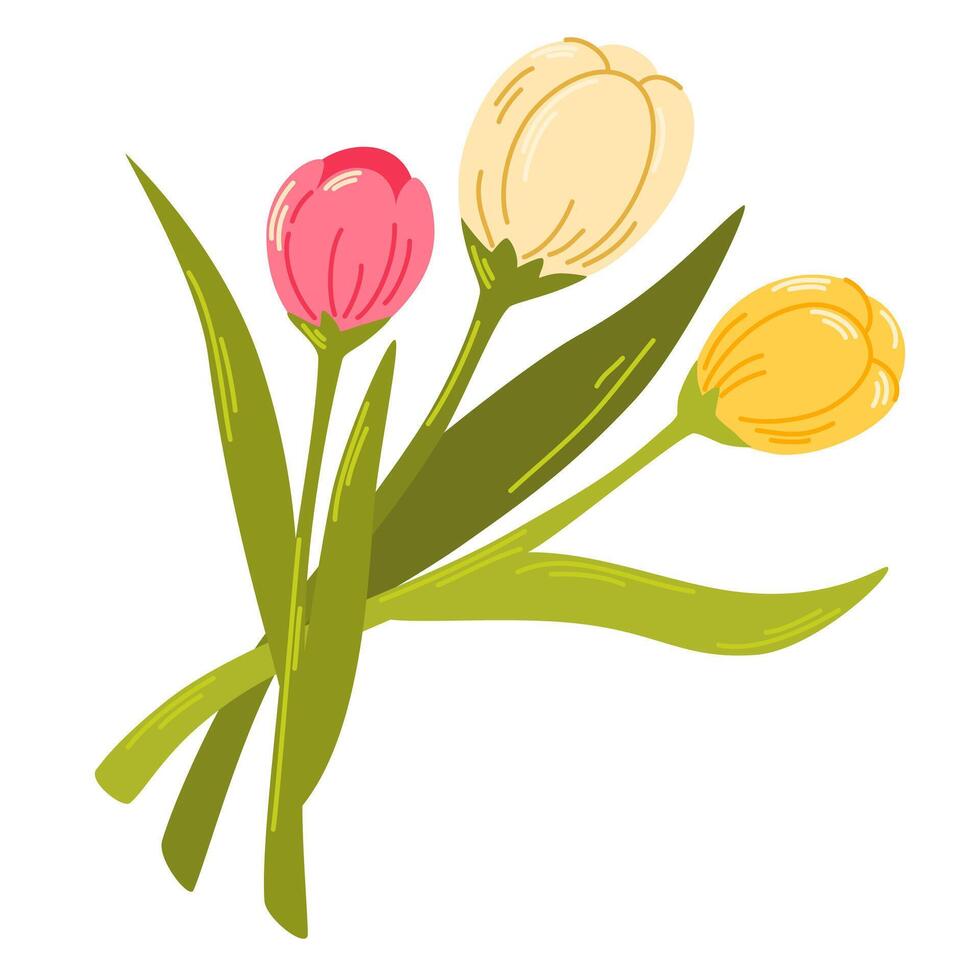 Bouquet of tulips. Love concept. Spring flowers. Element for spring, summer, seasonal design of postcards, fabrics, wallpaper, wrappers, packaging, textiles. Vector illustration