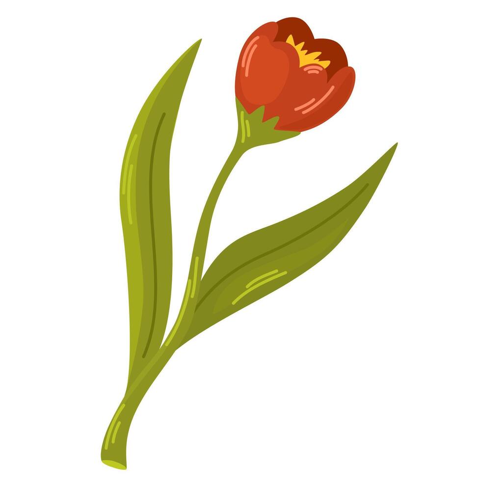Tulip. Spring flowers. Love concept. Element for spring, summer, seasonal design of postcards, fabrics, wallpaper, wrappers, packaging, textiles. Vector illustration