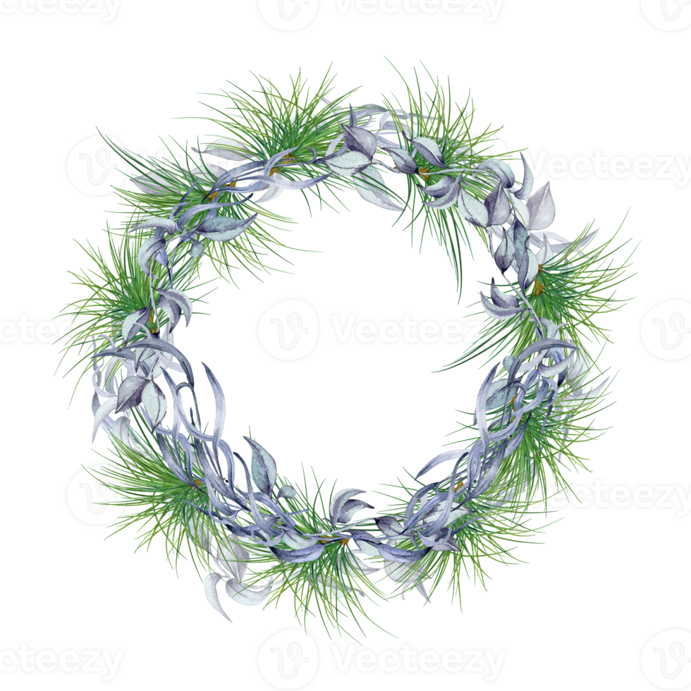 Frame of pine tree branches and blue leaves digital illustration. Fir branches in the form of a circular frame. Wreath of spruce. Element for design Christmas invitation, wedding. png