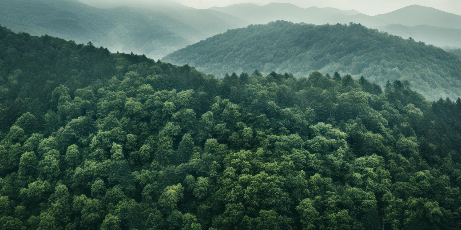 AI generated a big green forest on the side of a mountain photo