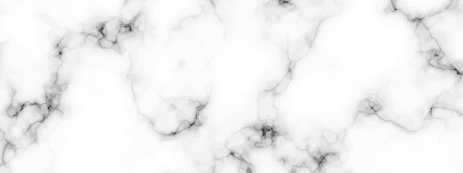 White marble texture background vector