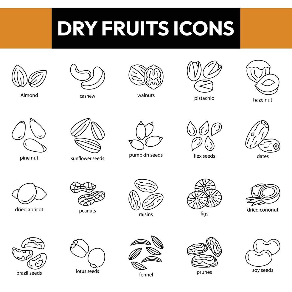 seco frutas iconos, seco Fruta línea íconos vector