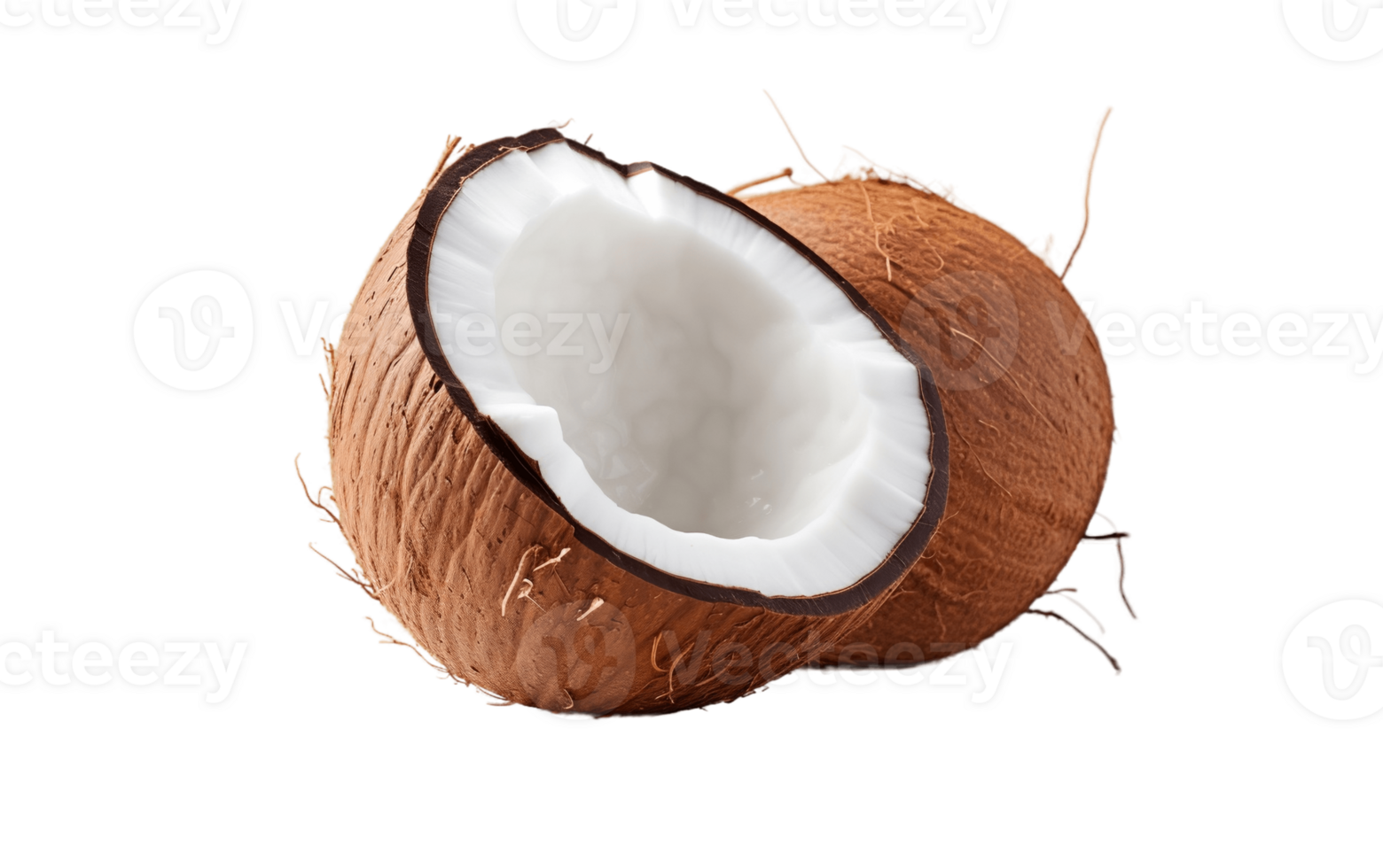AI generated Coconut on White Transparent Background png