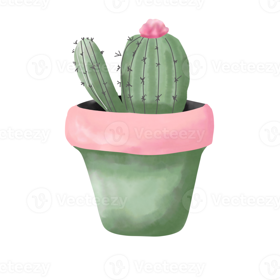 cactus in a pink pot png