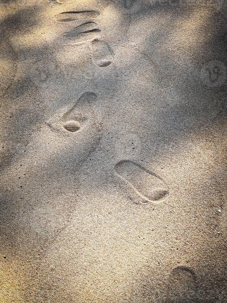 Sand Texture with Human Footprints Along a Summer Beach Shoreline photo