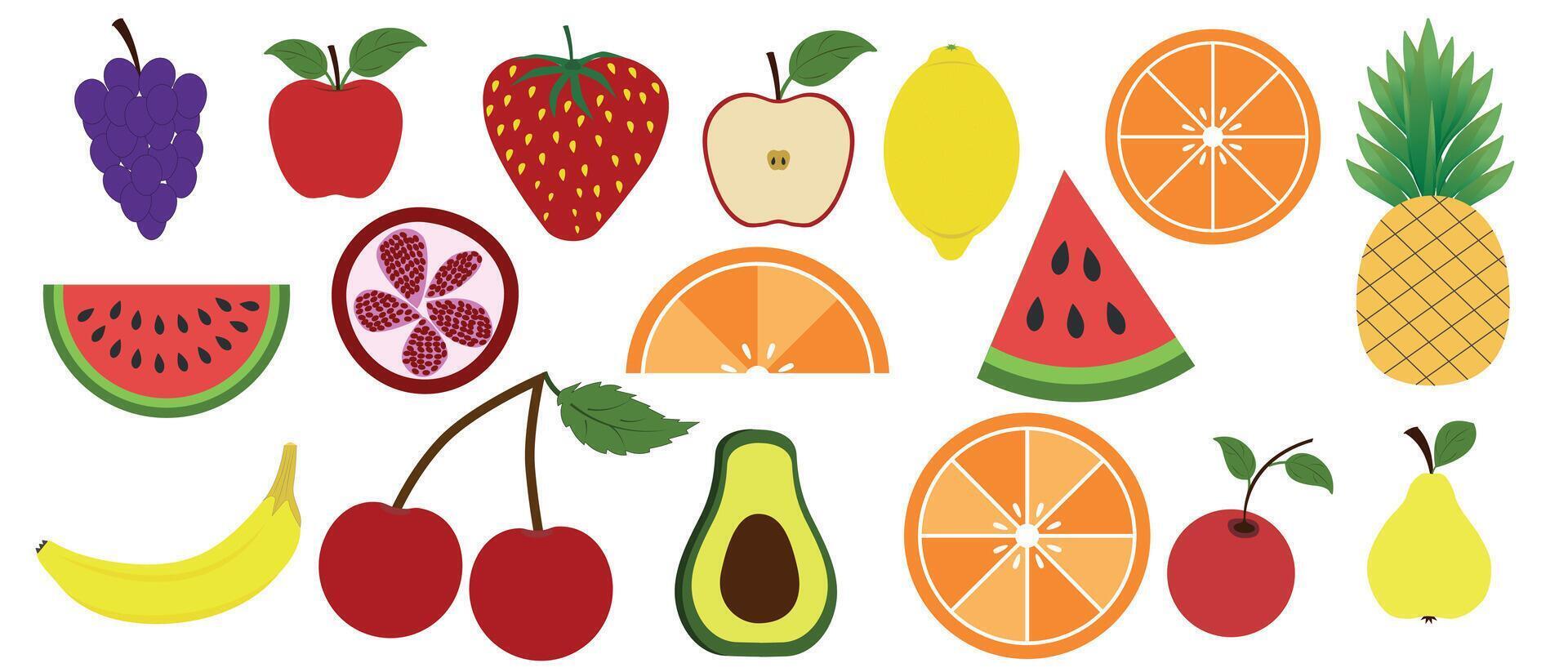 Set hand drawn colorful fruits and berries. Large set of natural fruits and berries. Apple, strawberry, banana, pomegranate, pineapple, pear, avocado and others. Illustration of organic, vegan food. vector