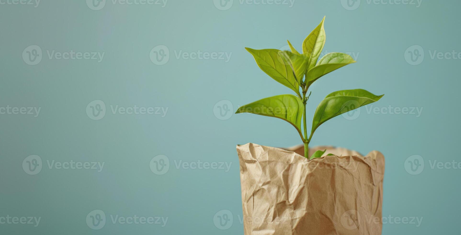 AI generated Generative AI, plant sprout with green leaves growing from recycled paper. Eco, zero waste, plastic free and environment concept photo