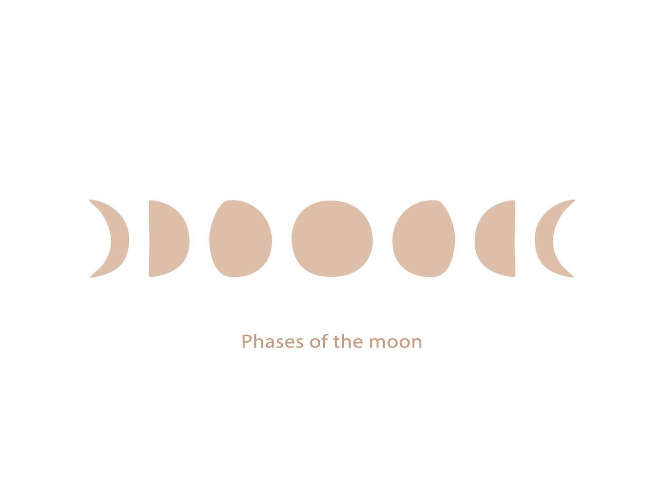 All phases of the moon in a hand-drawn style. vector