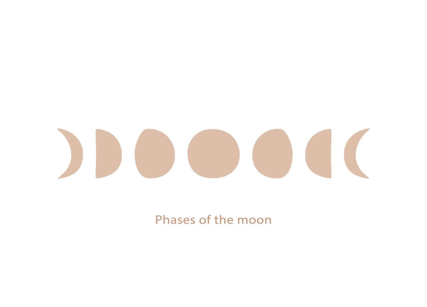 All phases of the moon in a hand-drawn style. vector