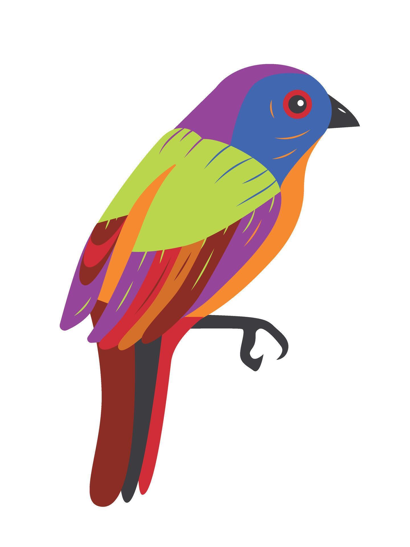 Painted Bunting Cardinal, a colorful exotic bird. Isolated element for