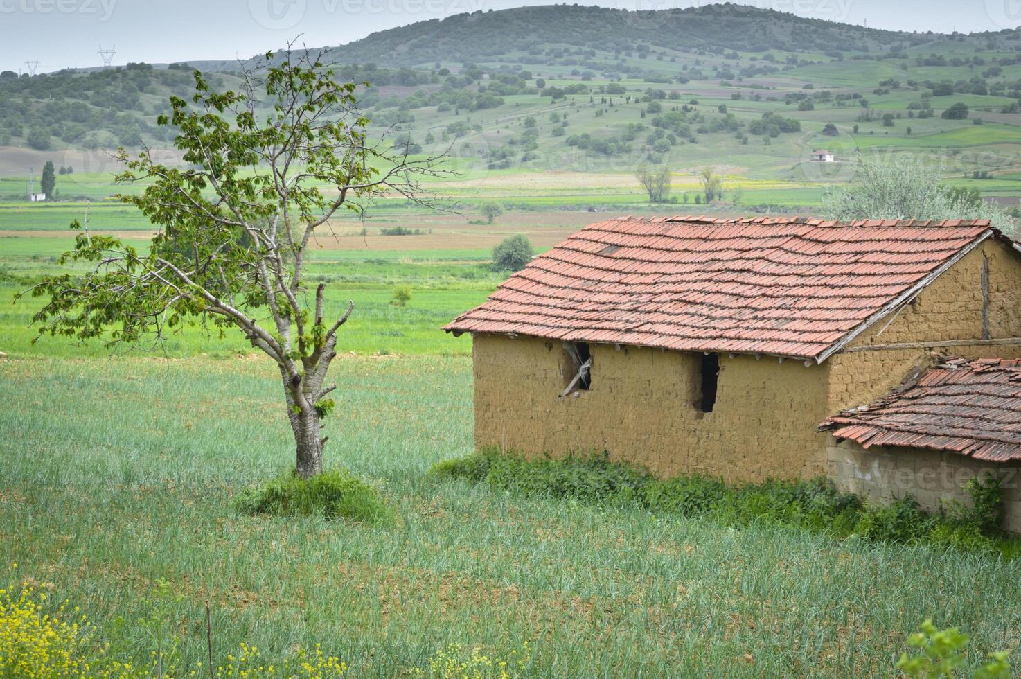 Rural Farm House photo