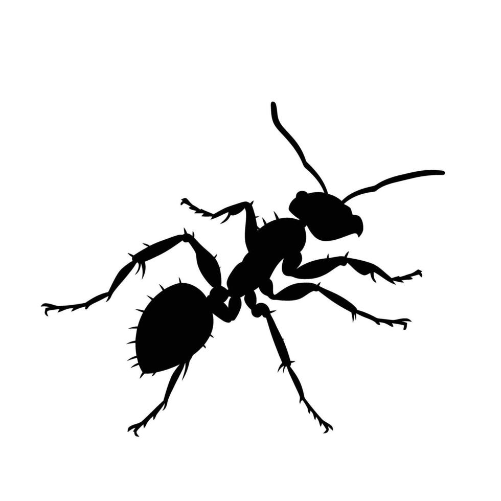 AI generated Silhouette ant full body black color only vector