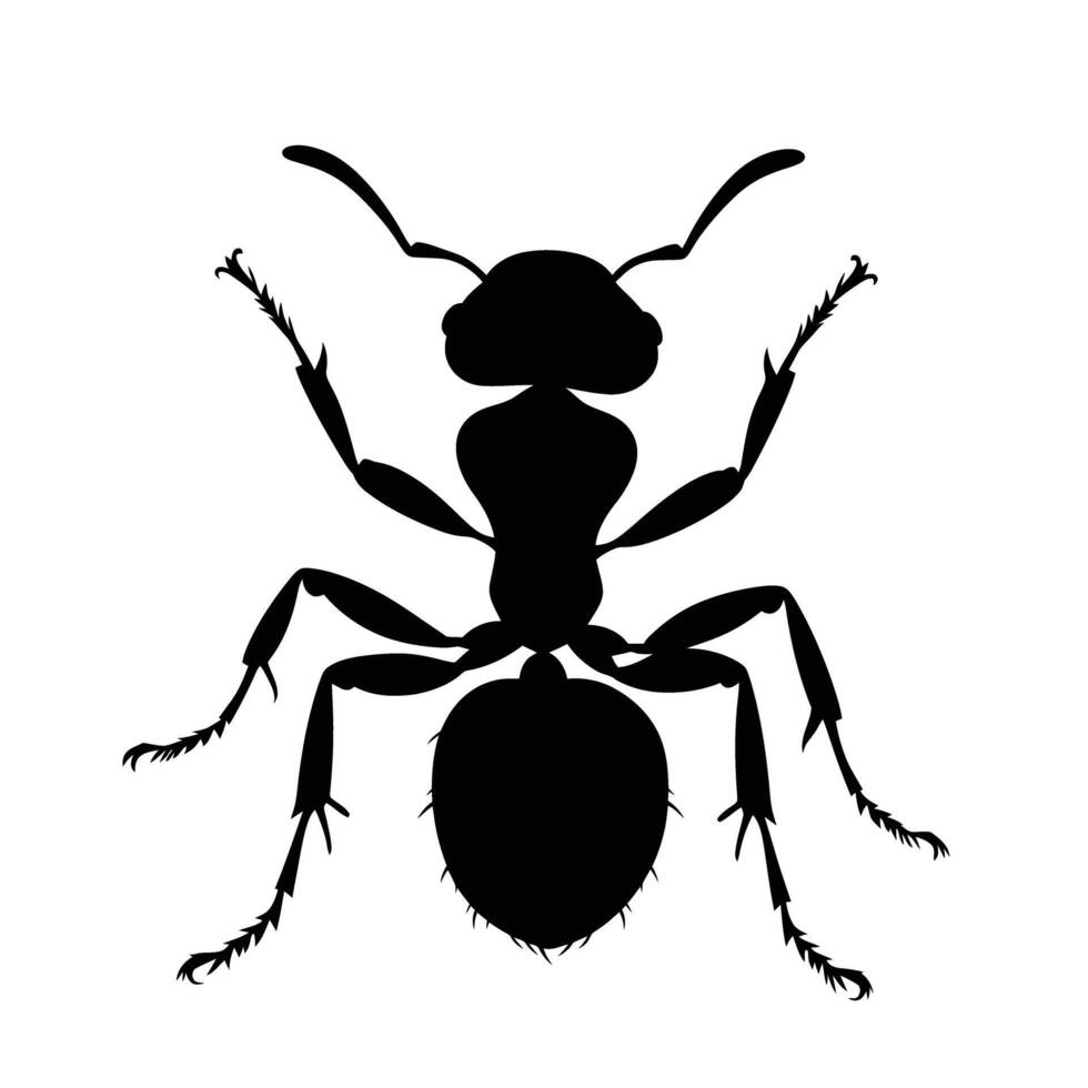 AI generated Silhouette ant full body black color only vector