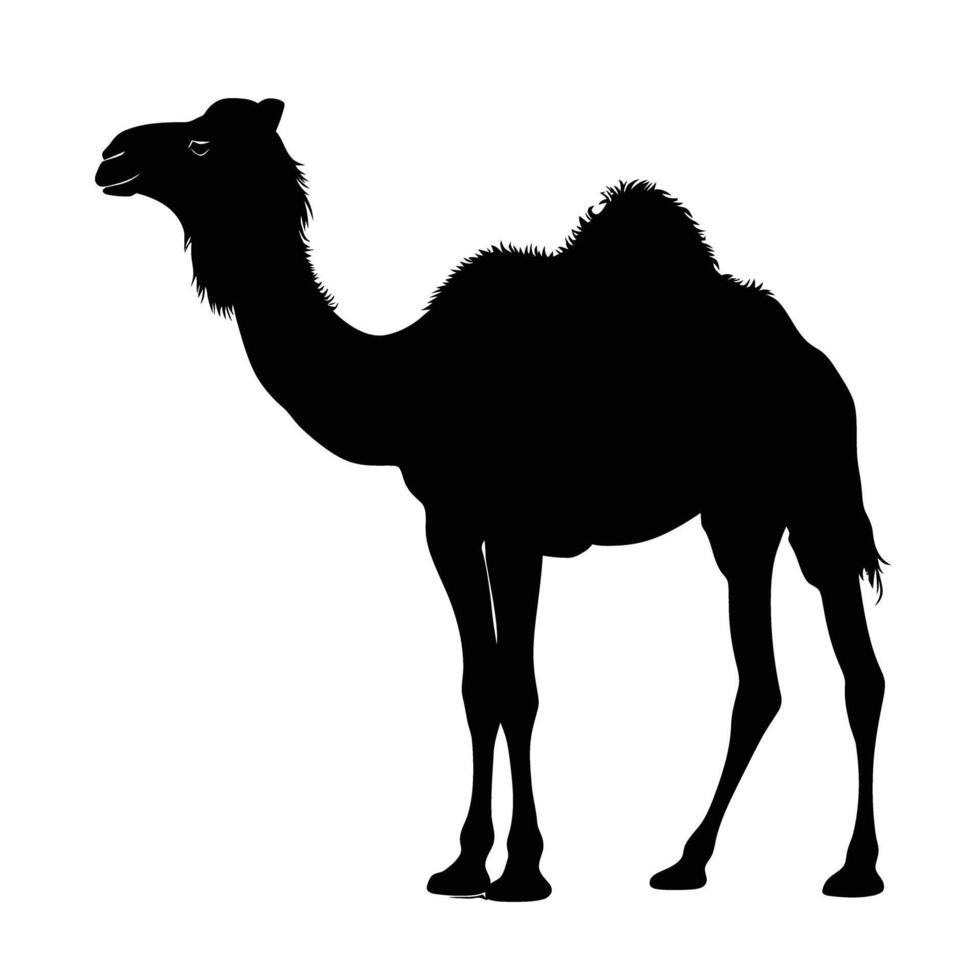 AI generated Silhouette camel full body black color only vector