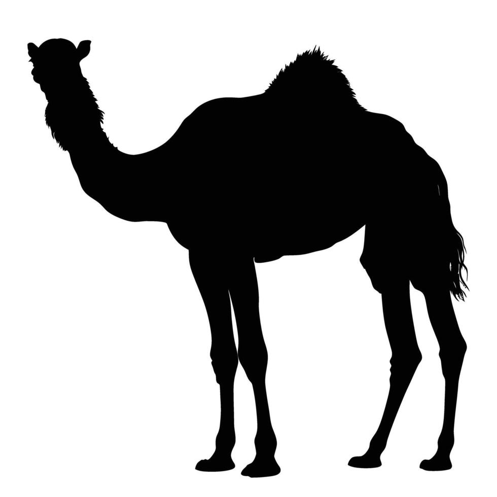 AI generated Silhouette camel full body black color only vector