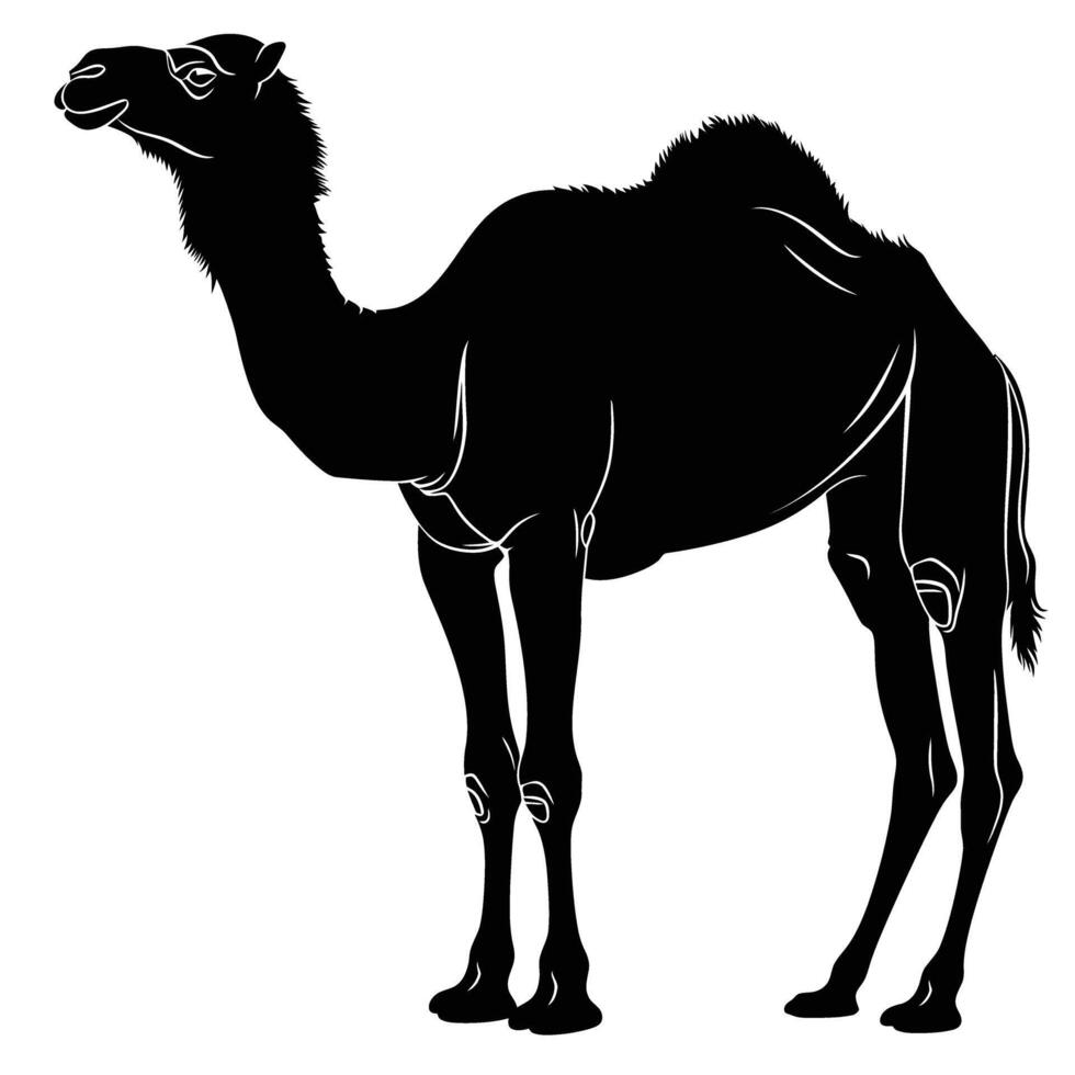 AI generated Silhouette camel full body black color only vector