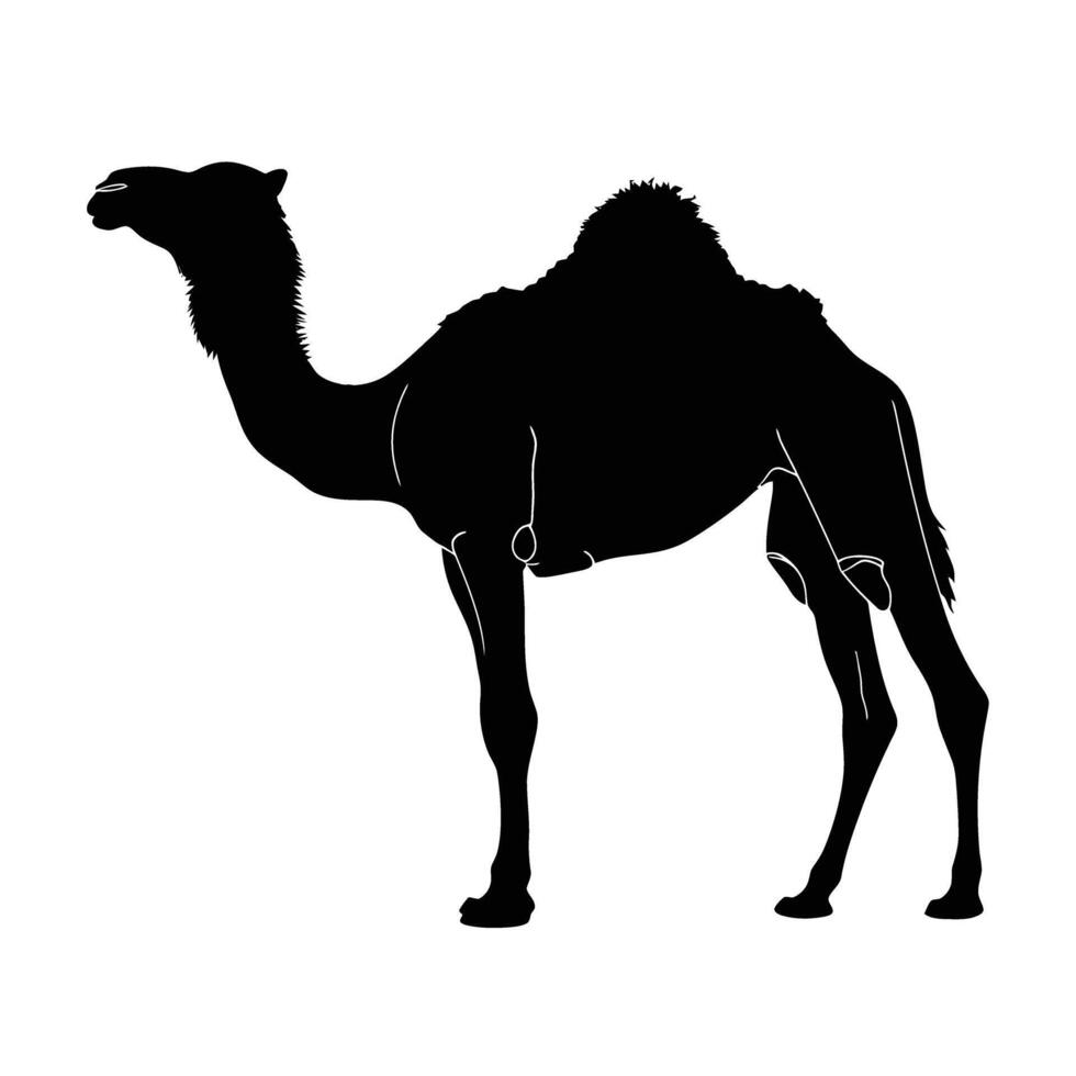 ai generado silueta camello lleno cuerpo negro color solamente vector
