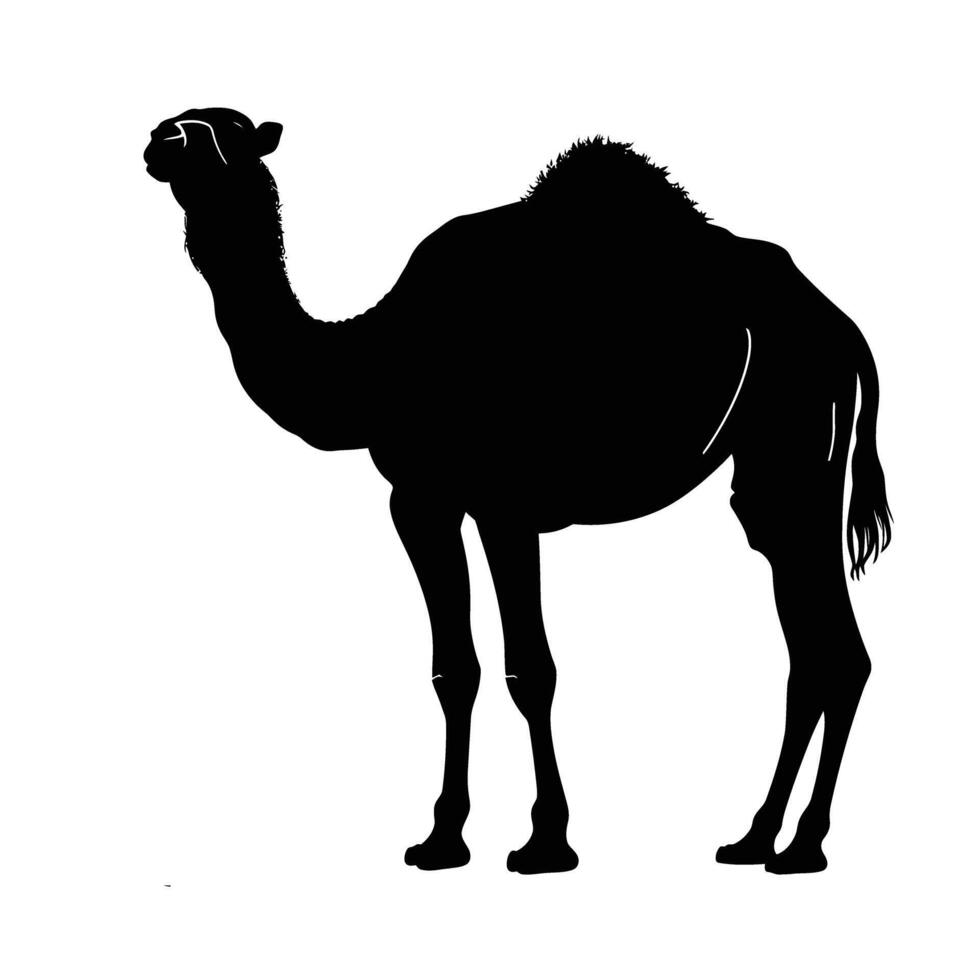 AI generated Silhouette camel full body black color only vector