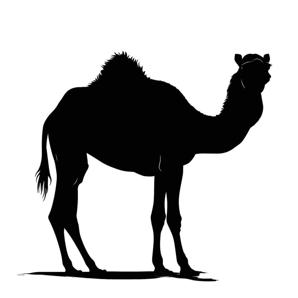 AI generated Silhouette camel full body black color only vector