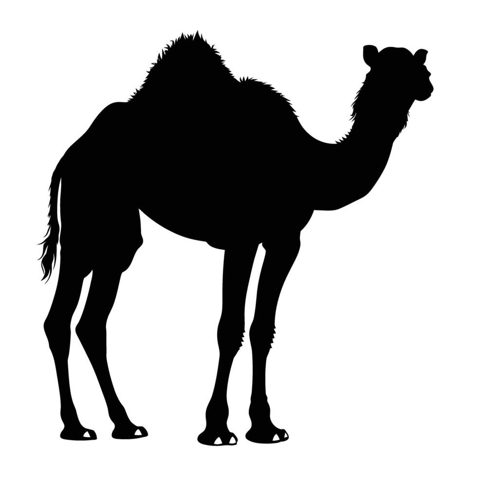 AI generated Silhouette camel full body black color only vector