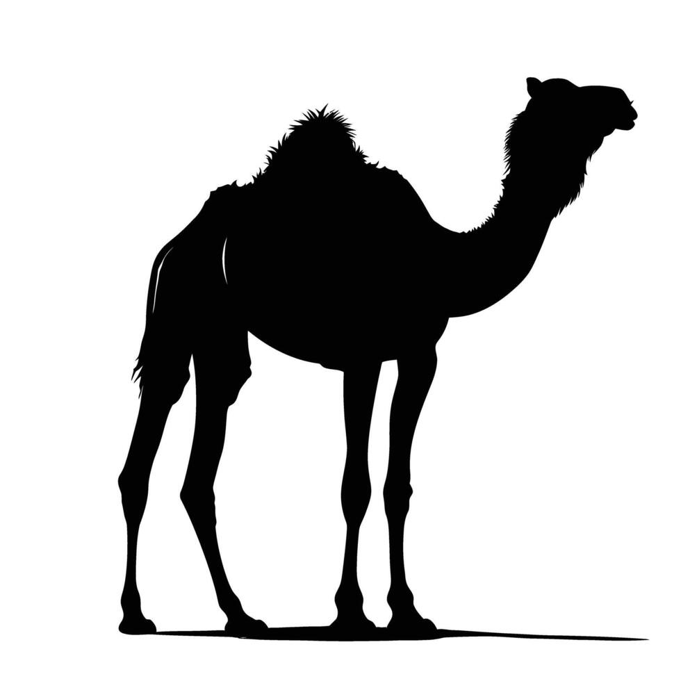 AI generated Silhouette camel full body black color only vector