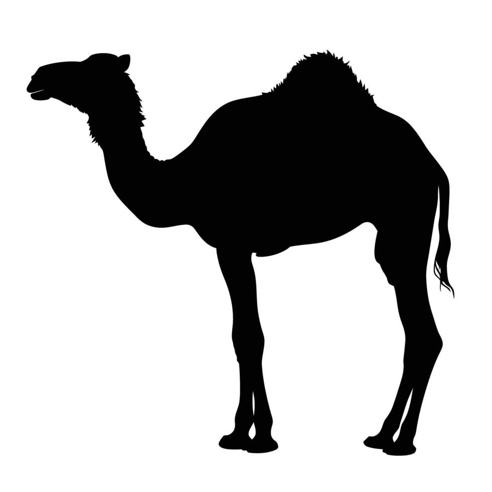 AI generated Silhouette camel full body black color only vector