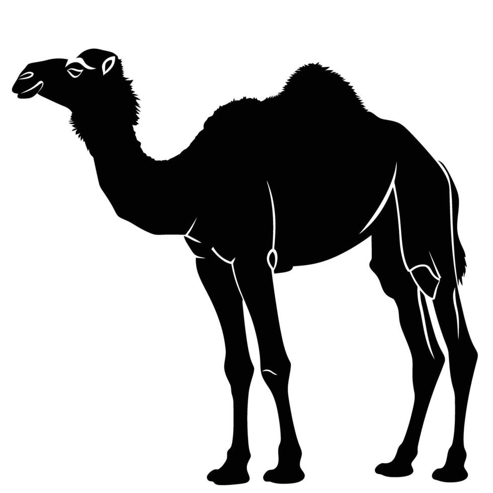 AI generated Silhouette camel full body black color only vector