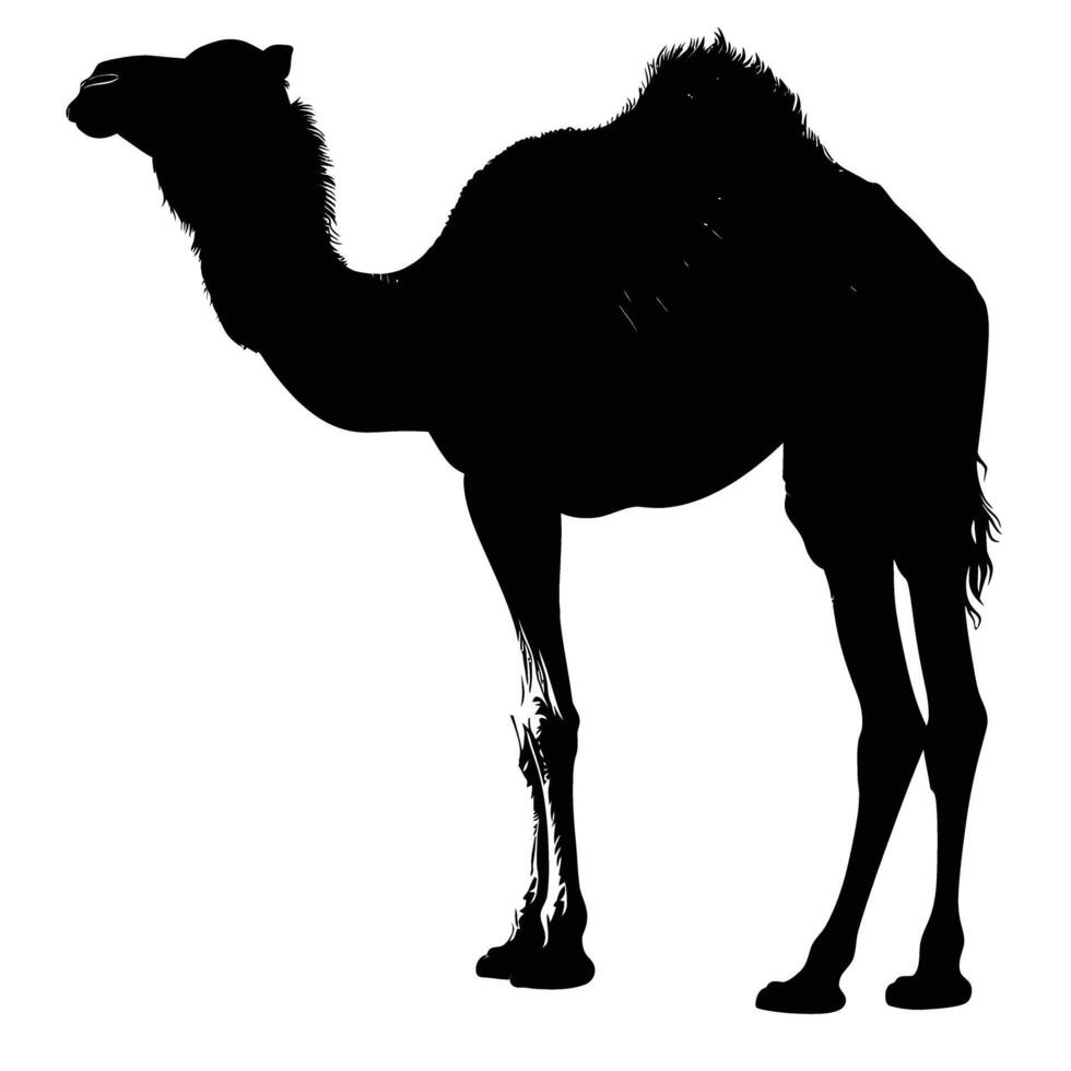 AI generated Silhouette camel full body black color only vector