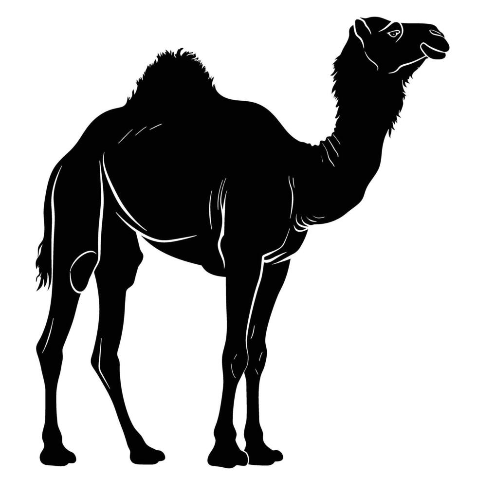 AI generated Silhouette camel full body black color only vector