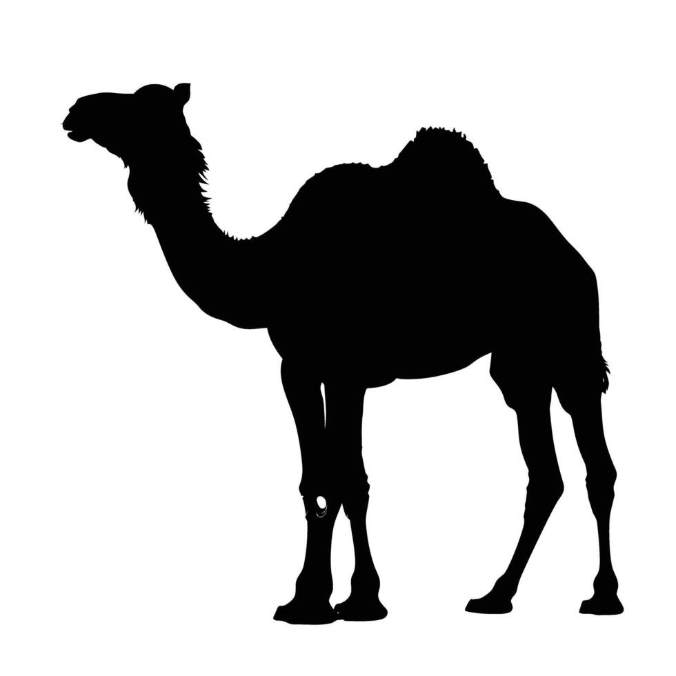 AI generated Silhouette camel full body black color only vector