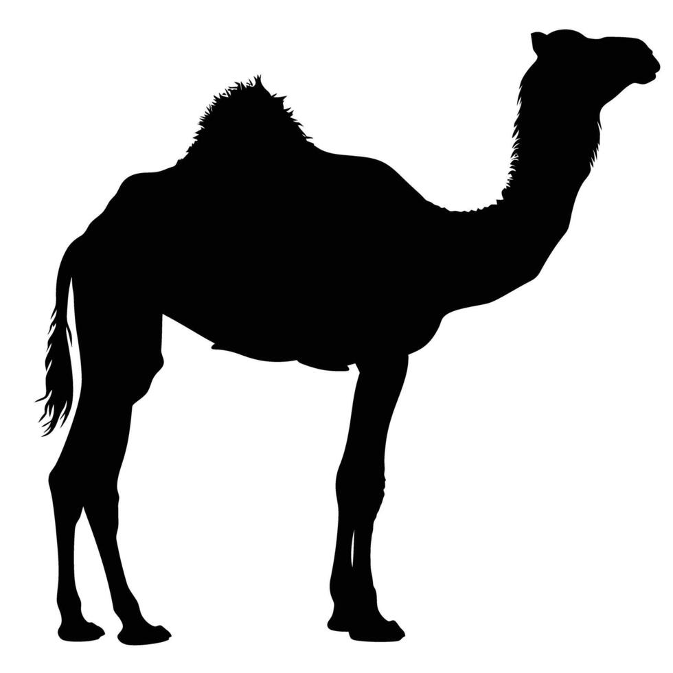 AI generated Silhouette camel full body black color only vector