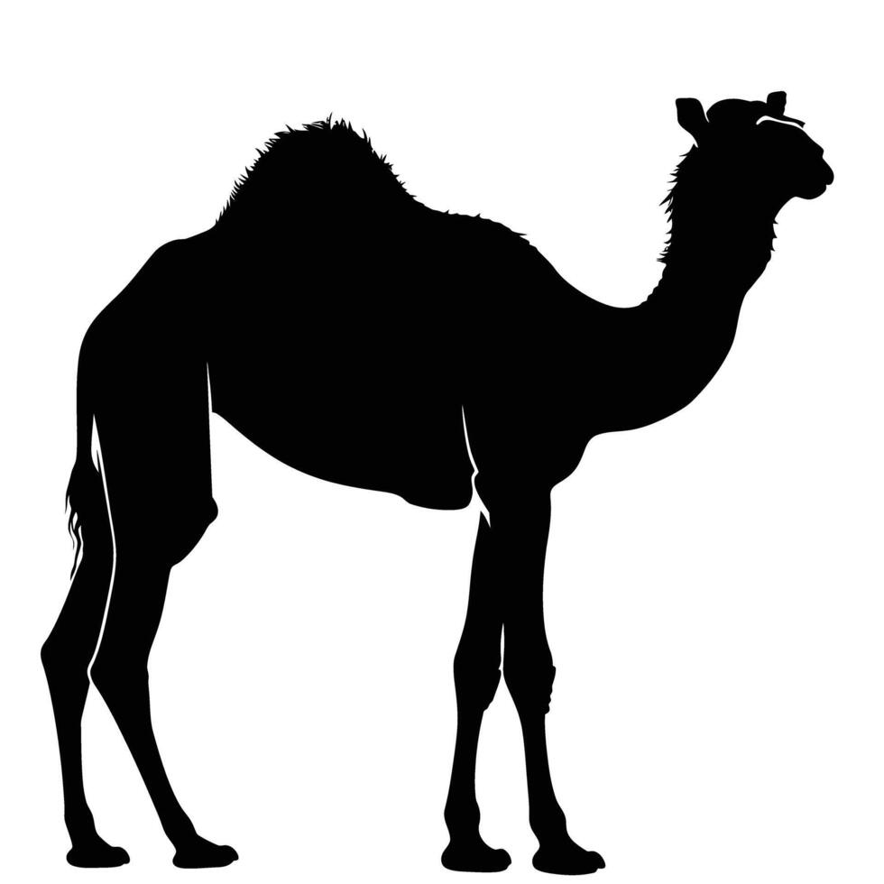 AI generated Silhouette camel full body black color only vector