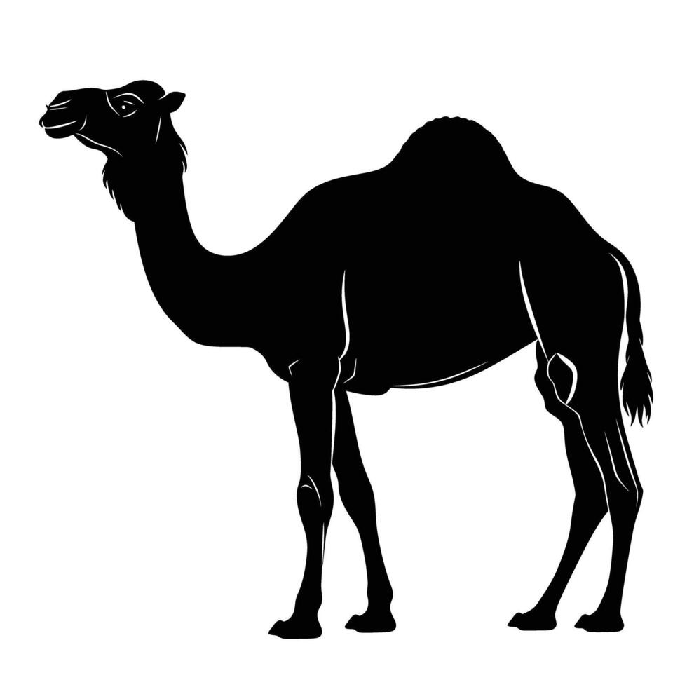 AI generated Silhouette camel full body black color only vector