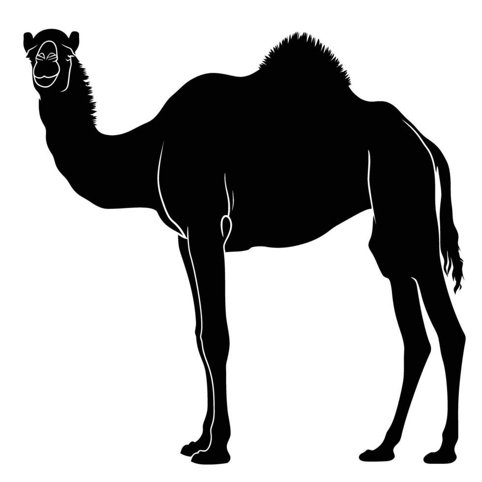 AI generated Silhouette camel full body black color only vector