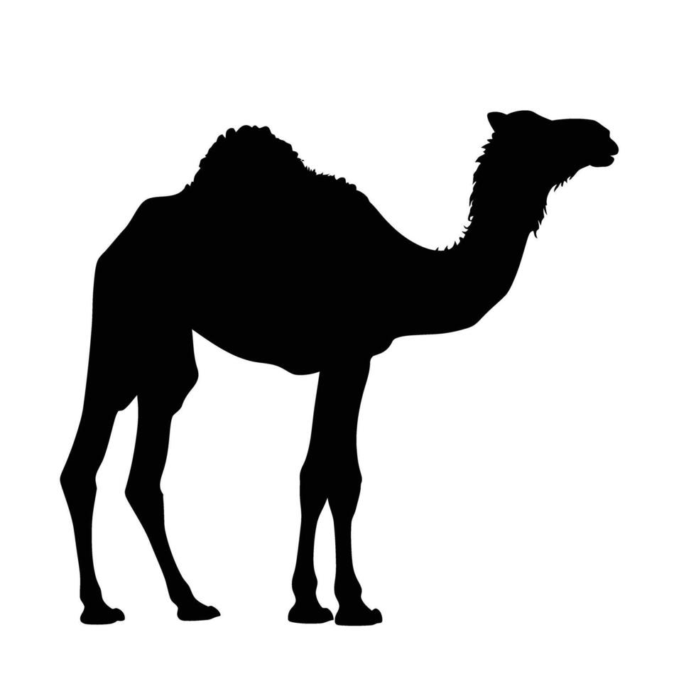 AI generated Silhouette camel full body black color only vector