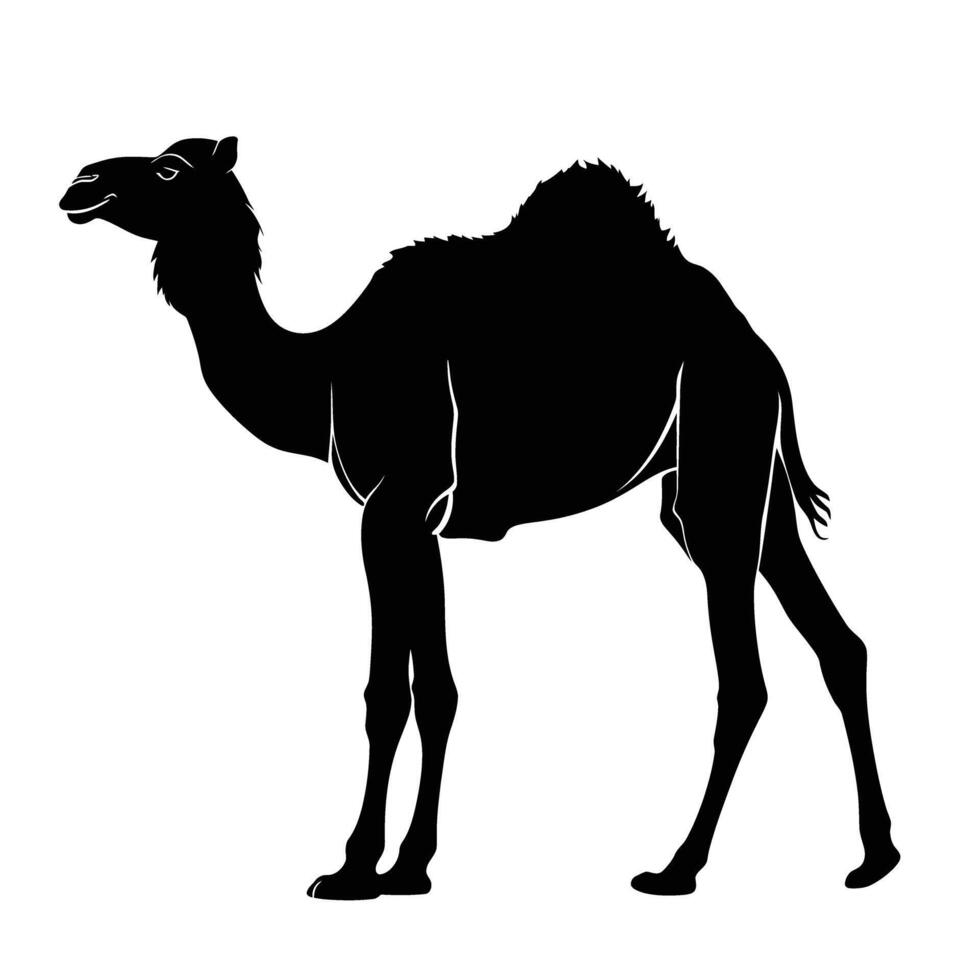 AI generated Silhouette camel full body black color only vector