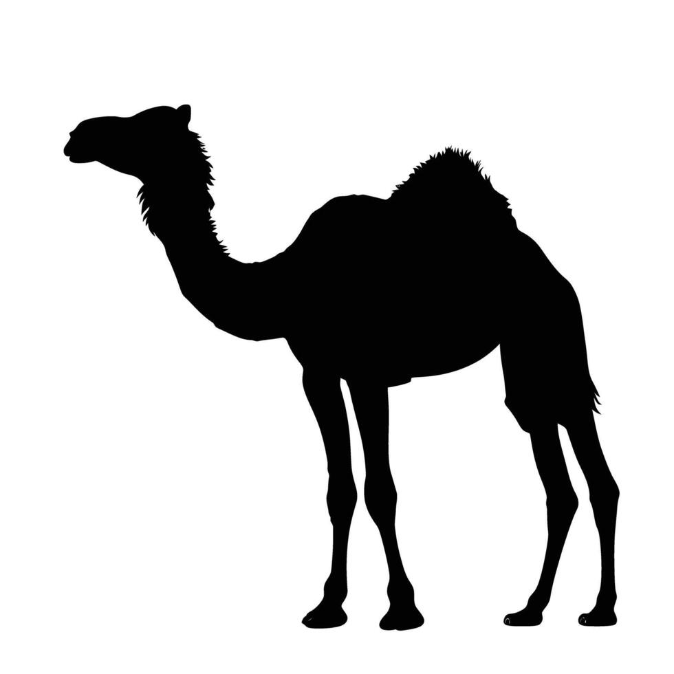 AI generated Silhouette camel full body black color only vector