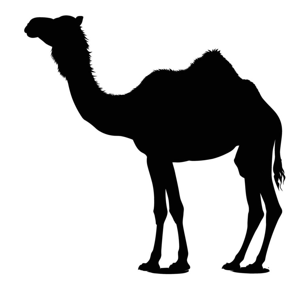 AI generated Silhouette camel full body black color only vector