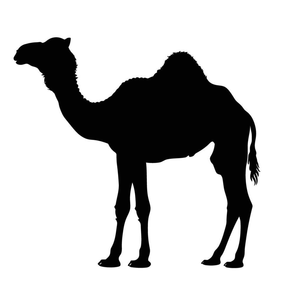 AI generated Silhouette camel full body black color only vector