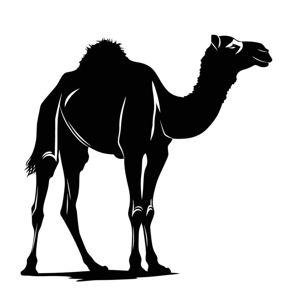 AI generated Silhouette camel full body black color only vector