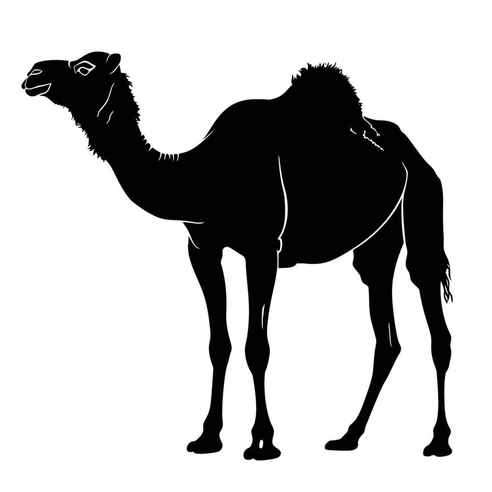 AI generated Silhouette camel full body black color only vector