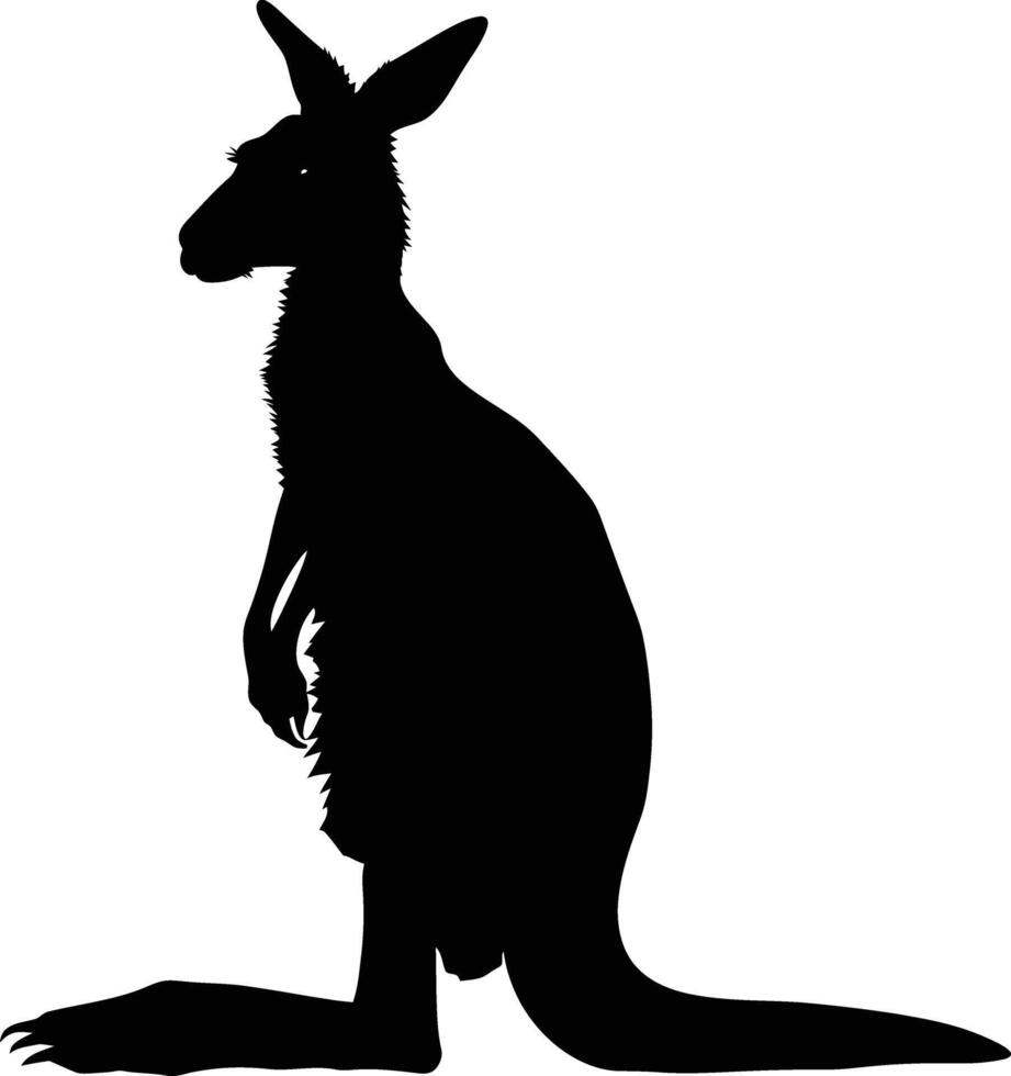 AI generated Silhouette kangaroo black color only vector