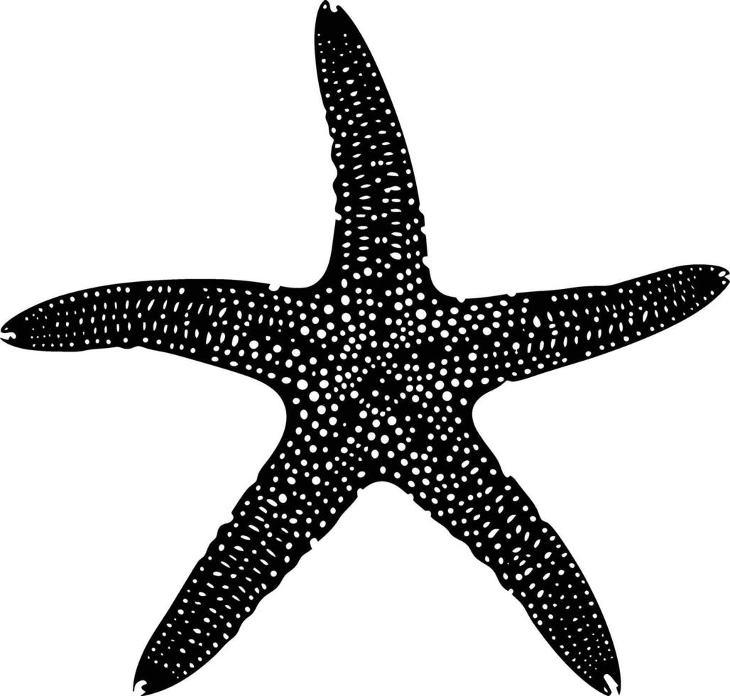 AI generated Silhouette starfish black color only vector