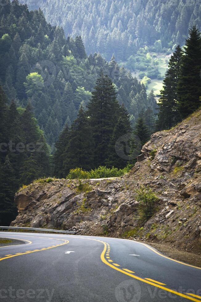 Beautiful Road in Forest photo